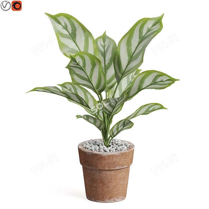 Premium Plant Collection Set 766 3D model image 1