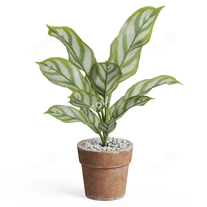 Premium Plant Collection Set 766 3D model image 2