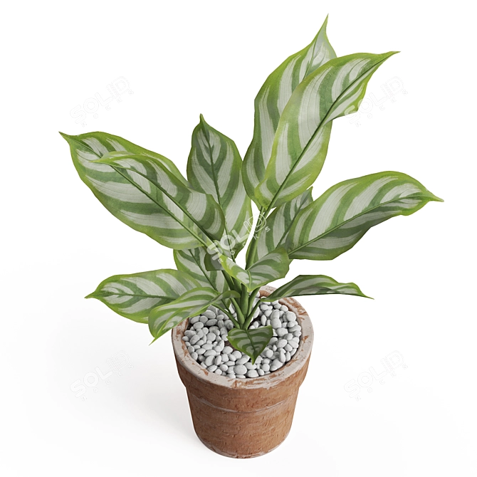 Premium Plant Collection Set 766 3D model image 3