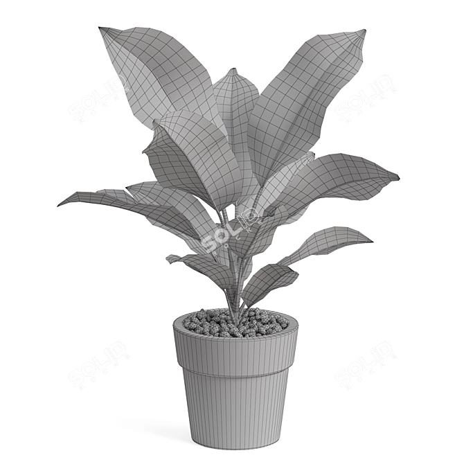 Premium Plant Collection Set 766 3D model image 4