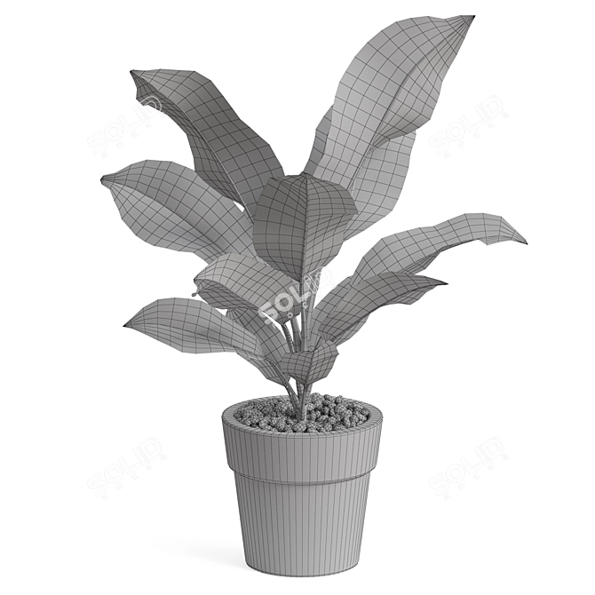 Premium Plant Collection Set 766 3D model image 5