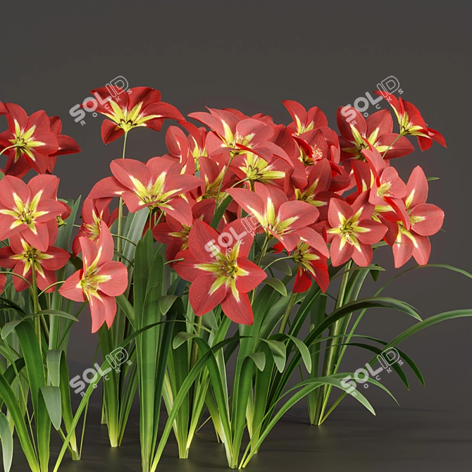 Ruby Amaryllis Collection Vol. 128 3D model image 2