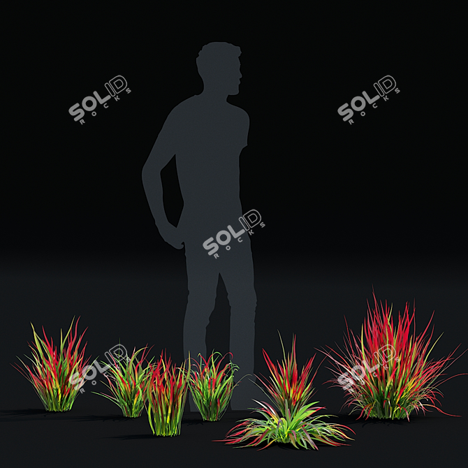 Decorative Imperata Grass Set 3D model image 4