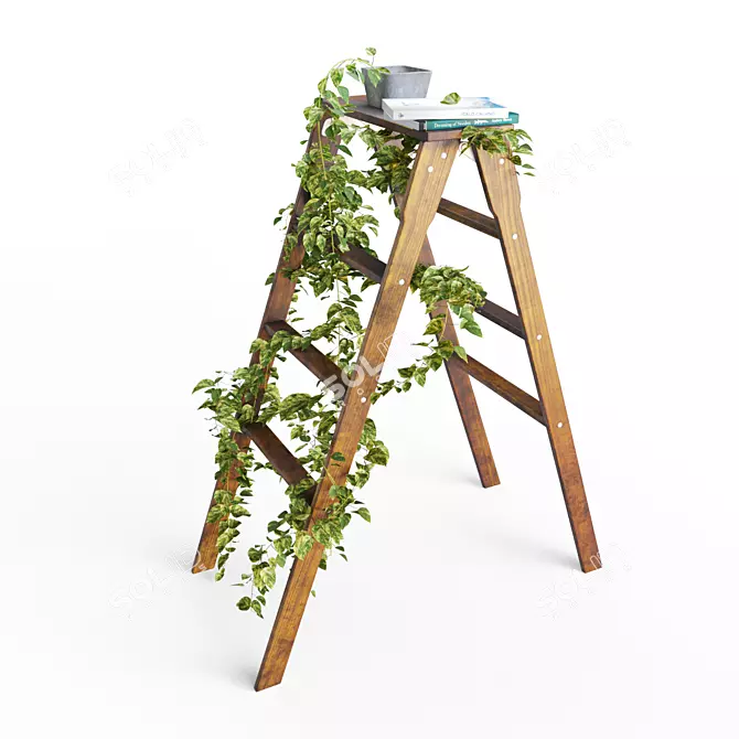 Devil's Ivy on Ladder Stand 3D model image 1