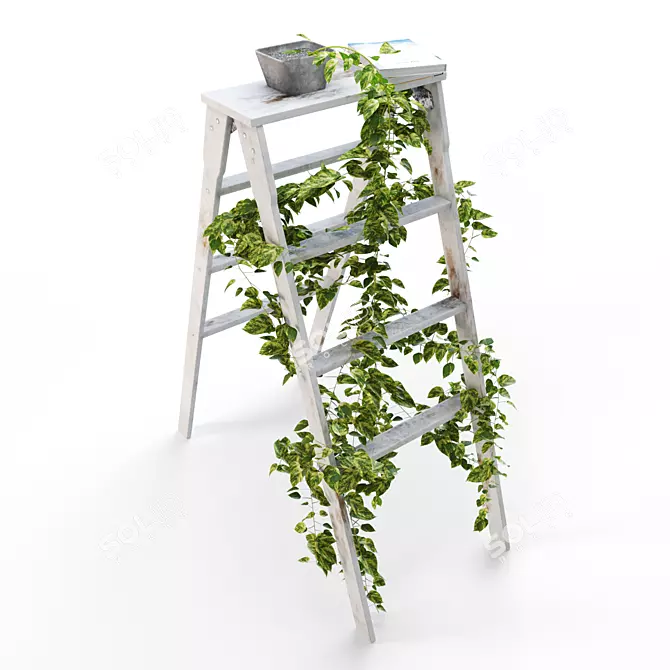 Devil's Ivy on Ladder Stand 3D model image 2