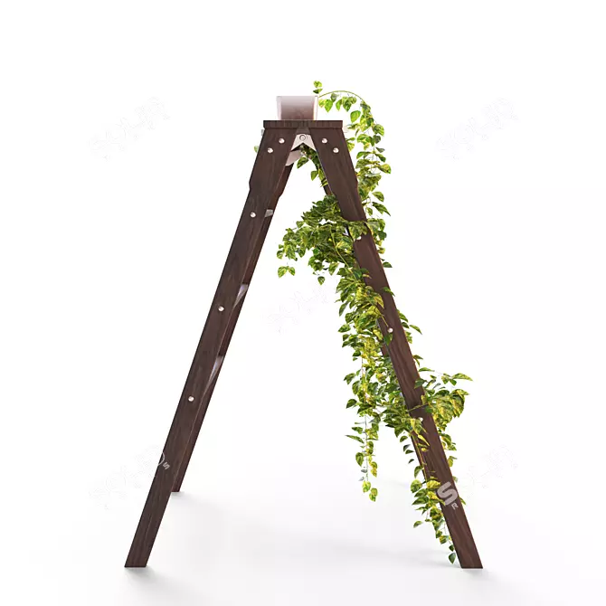 Devil's Ivy on Ladder Stand 3D model image 3