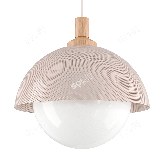 Perforated Dome Pendant | Metal Plafon 3D model image 1