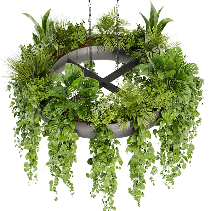 Volume 380 Hanging Pothos Plant 3D model image 1