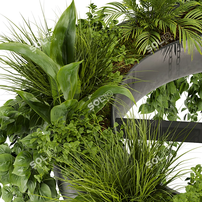 Volume 380 Hanging Pothos Plant 3D model image 5