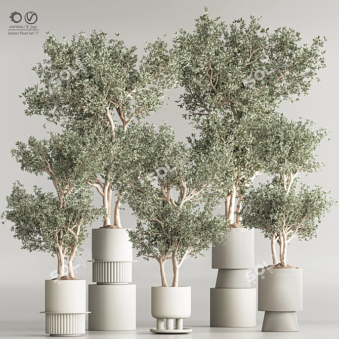 Modern Indoor Plant Set 3D Model 3D model image 1