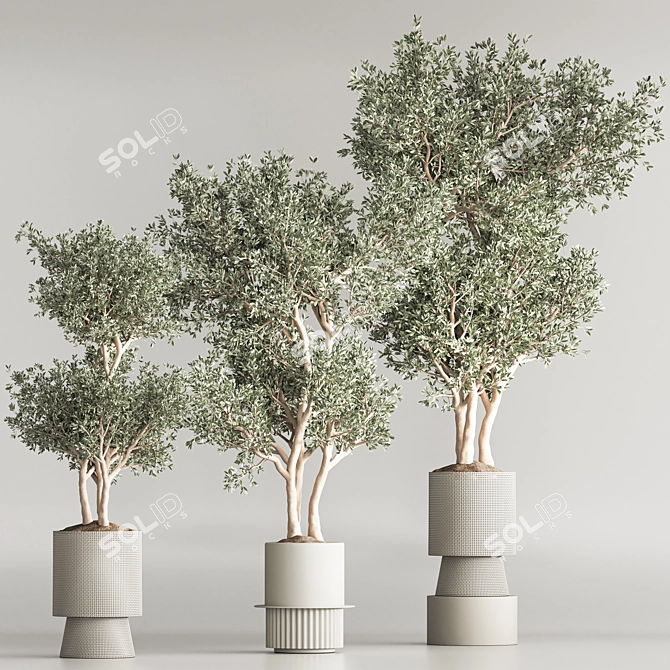 Modern Indoor Plant Set 3D Model 3D model image 2