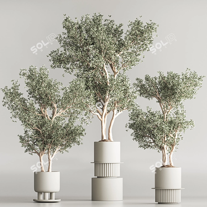 Modern Indoor Plant Set 3D Model 3D model image 3