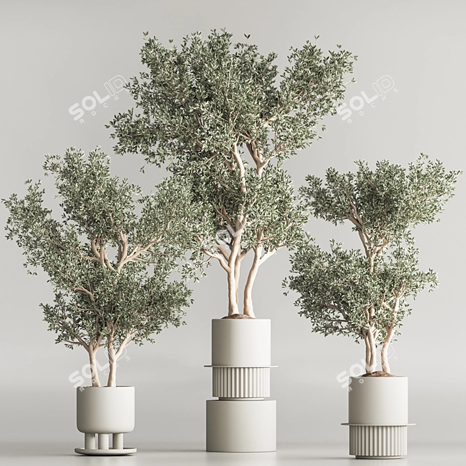 Modern Indoor Plant Set 3D Model 3D model image 5