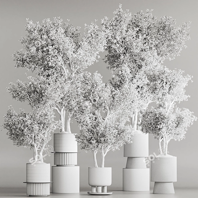 Modern Indoor Plant Set 3D Model 3D model image 9