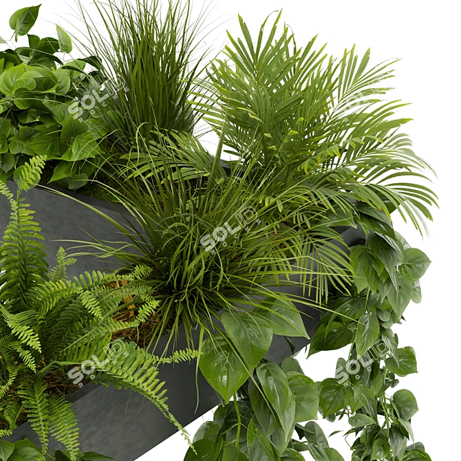 Exquisite Pothos Hanging Plant 3D model image 3