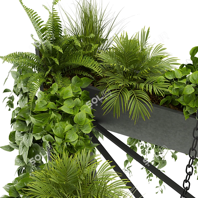 Exquisite Pothos Hanging Plant 3D model image 4