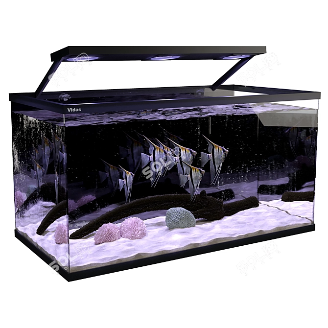 Aquarium Angel Fish 3D Model 3D model image 5