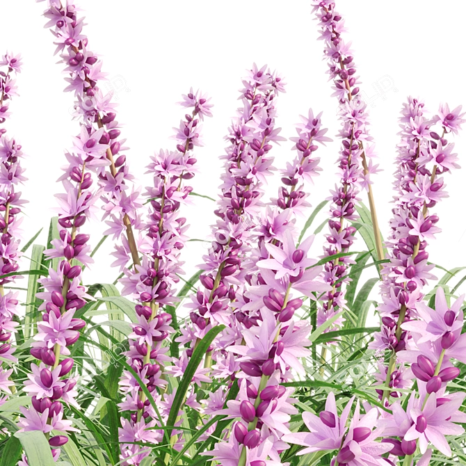 Outdoor Lilyturf Collection - Vol. 131 3D model image 2