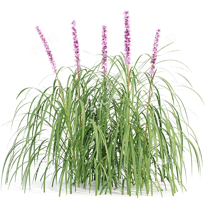 Outdoor Lilyturf Collection - Vol. 131 3D model image 3