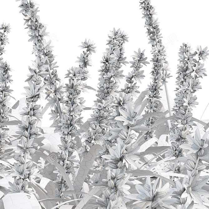 Outdoor Lilyturf Collection - Vol. 131 3D model image 7