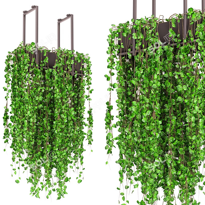 Metal Box Indoor Plants Set 3D model image 2