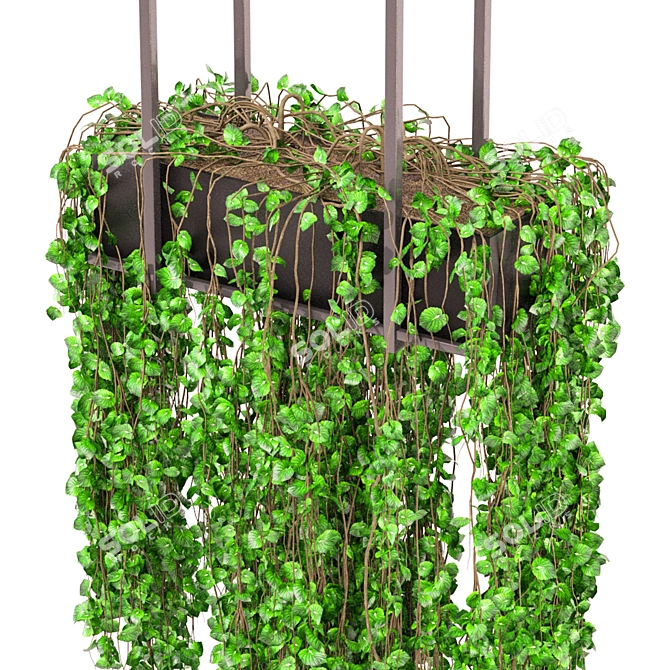 Metal Box Indoor Plants Set 3D model image 3