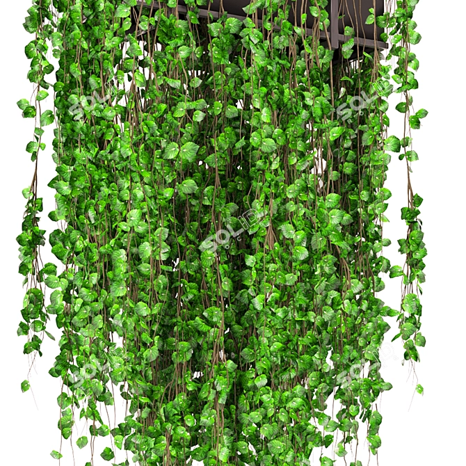 Metal Box Indoor Plants Set 3D model image 4