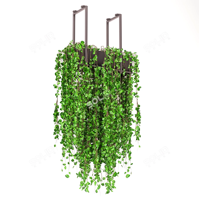 Metal Box Indoor Plants Set 3D model image 5