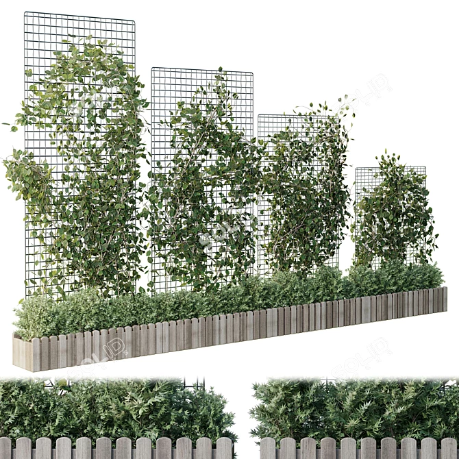 Grid Plant Set with Wooden Box 3D model image 1