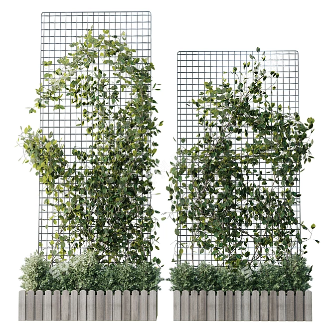 Grid Plant Set with Wooden Box 3D model image 2