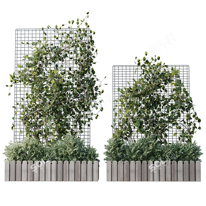 Grid Plant Set with Wooden Box 3D model image 3