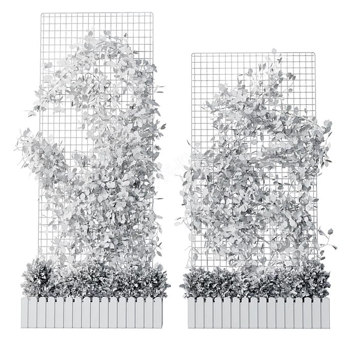 Grid Plant Set with Wooden Box 3D model image 4