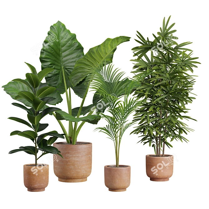 Exotic Indoor Plants Pack 26 3D model image 1