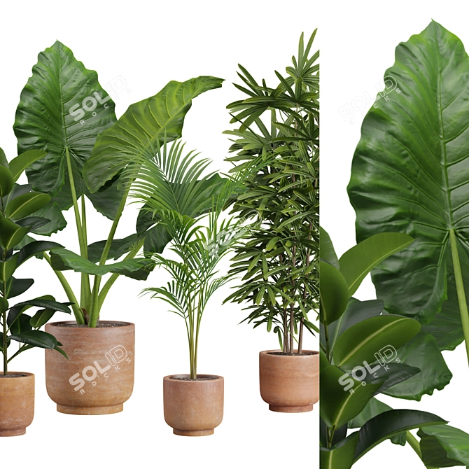 Exotic Indoor Plants Pack 26 3D model image 2