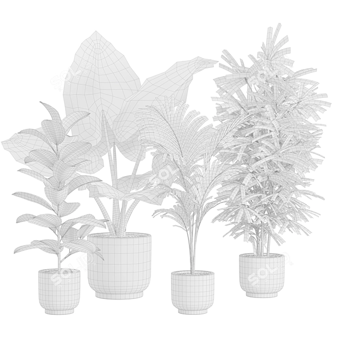 Exotic Indoor Plants Pack 26 3D model image 3