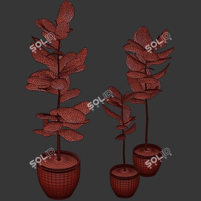 Modern Interior Plant 3D Model 3D model image 4