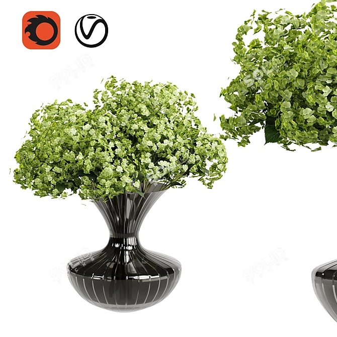 Hydrangea Plants 3D Models Set 3D model image 1