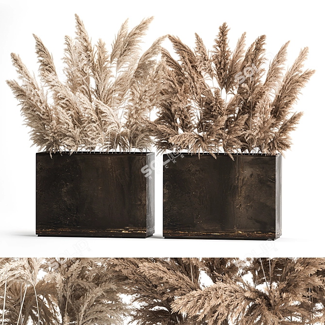 Rustic Reed Bouquet in Pampas Grass Pot 3D model image 1