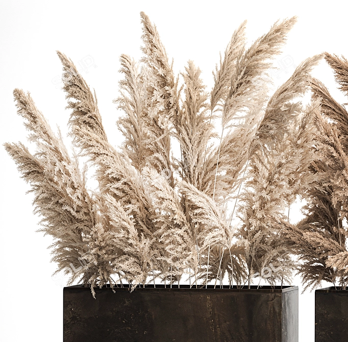 Rustic Reed Bouquet in Pampas Grass Pot 3D model image 2