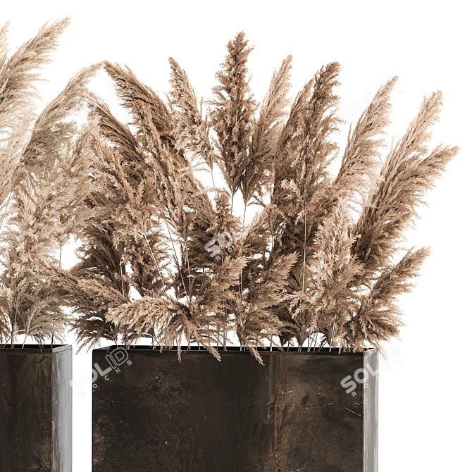 Rustic Reed Bouquet in Pampas Grass Pot 3D model image 3