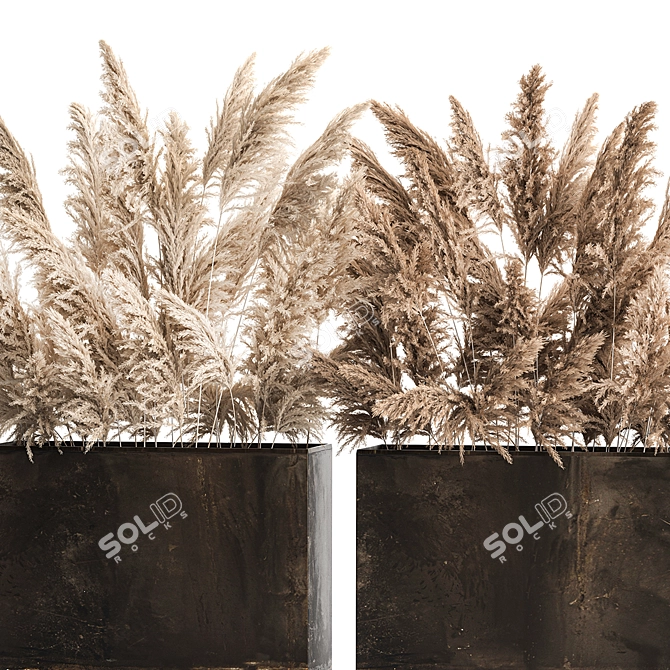 Rustic Reed Bouquet in Pampas Grass Pot 3D model image 4