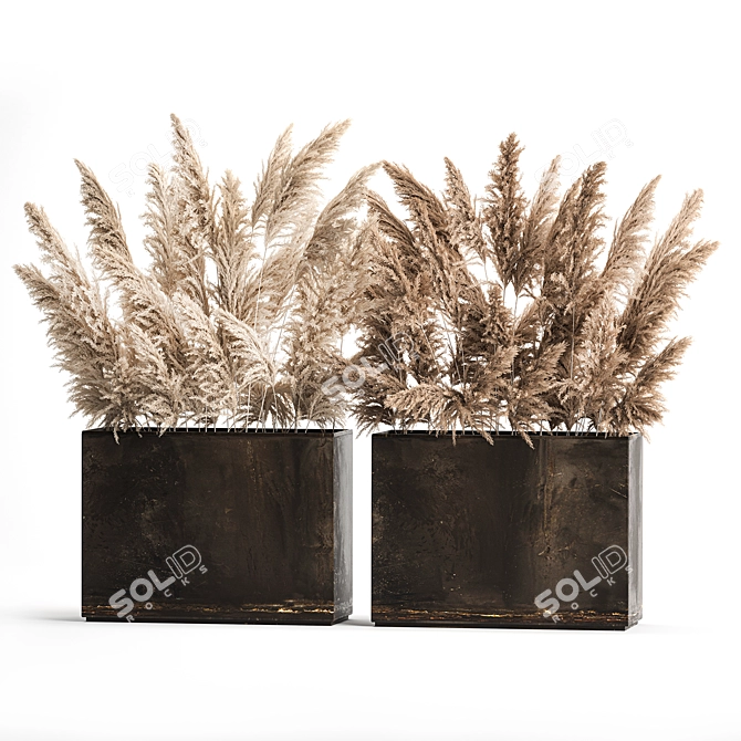 Rustic Reed Bouquet in Pampas Grass Pot 3D model image 6