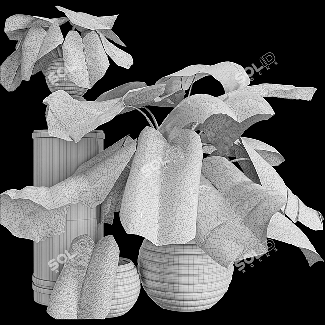Tropical Elephant Ear Plant Collection 3D model image 7