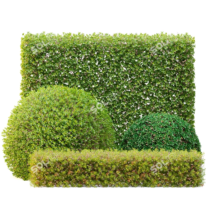 Versatile Topiary Scatter Bushes 3D model image 2