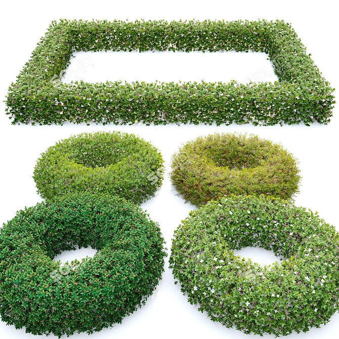 Versatile Topiary Scatter Bushes 3D model image 4