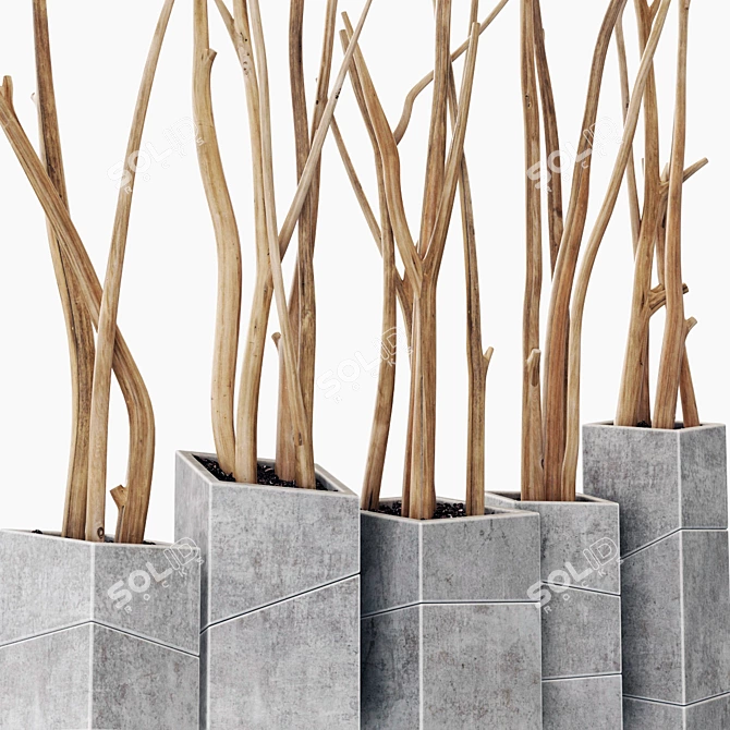 Branch Slice Vase Set 7 3D model image 2