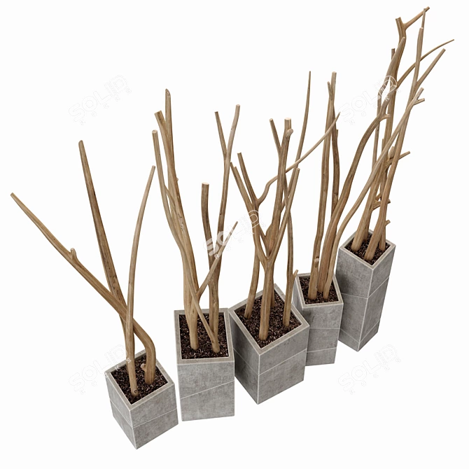 Branch Slice Vase Set 7 3D model image 5