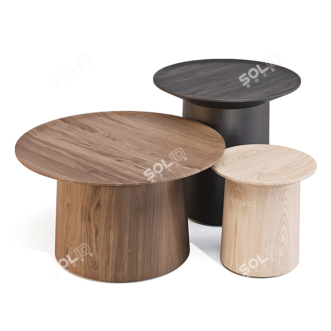 BluDot Cocoa Elegant Acacia Tables 3D model image 6