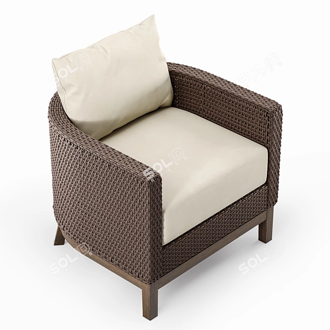 Peninsula Resin Wicker Barrel Chair 3D model image 3