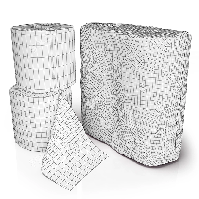  2x2 Toilet Paper Rolls Pack 3D model image 2